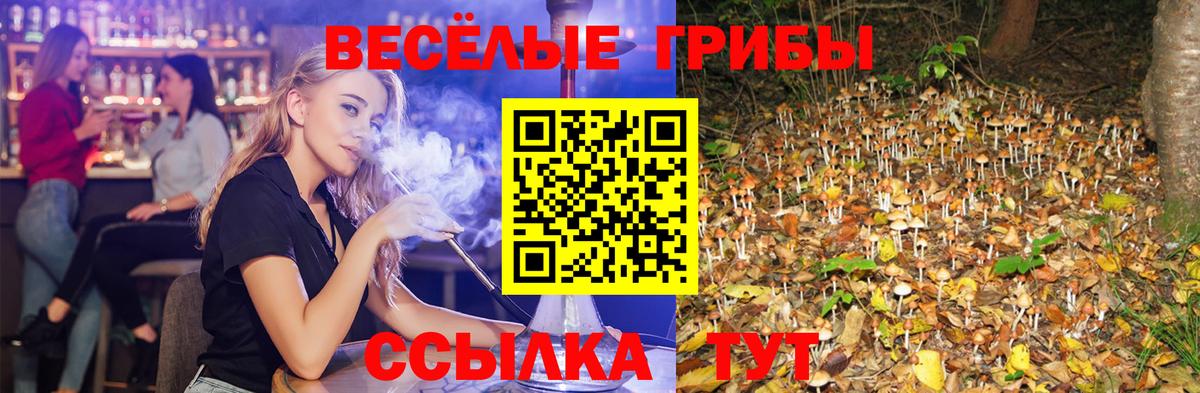 Псилоцибиновые грибы GOLDEN TEACHER  Вход с VPN  Лобня  Псилоцибиновые грибы Magic Shrooms 
