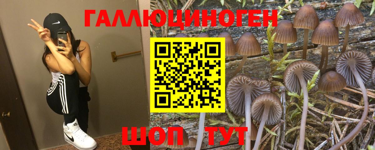Псилоцибиновые грибы Magic Shrooms Лобня